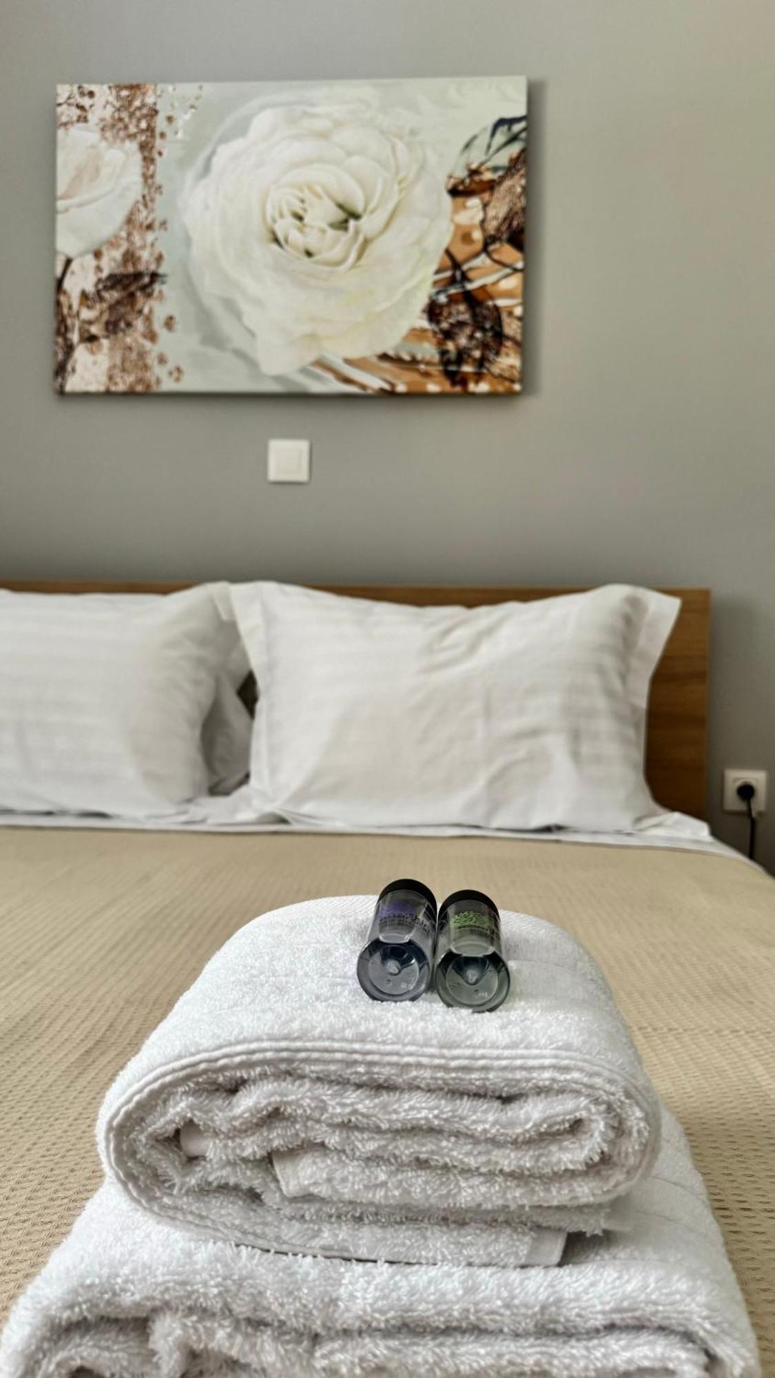Urban Breeze Aparment 1 Apartment Athens Ngoại thất bức ảnh